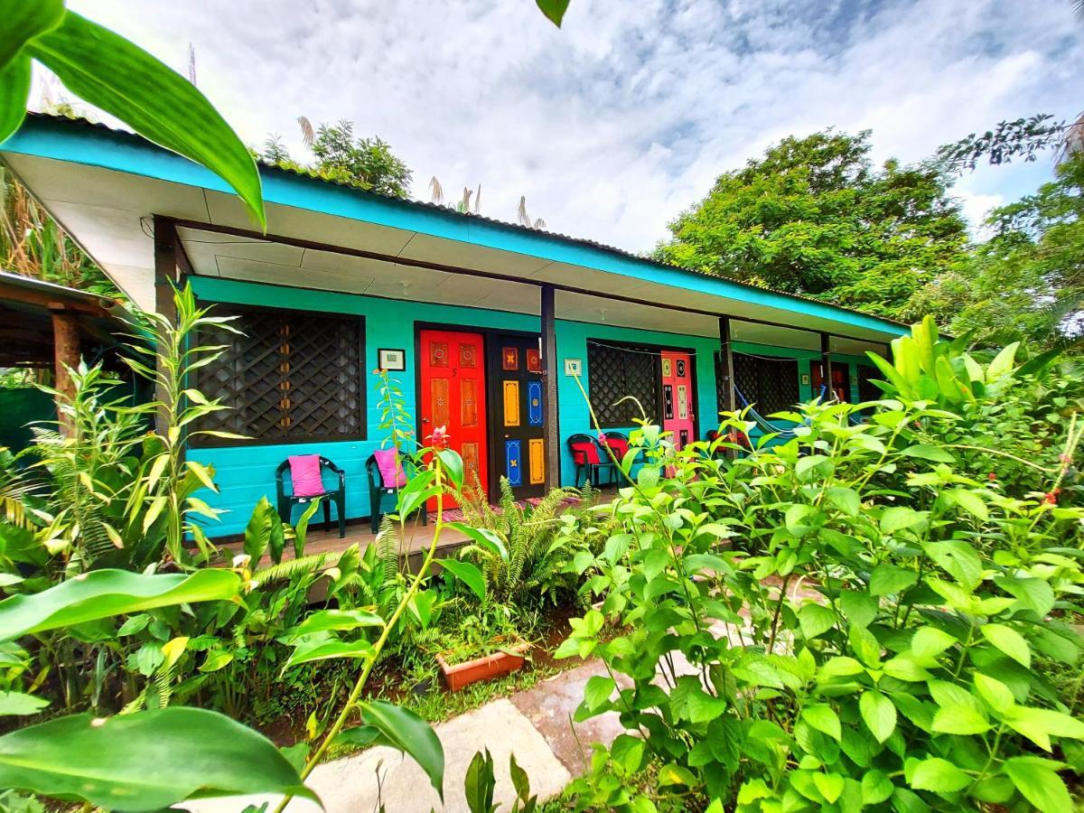 Cabinas Tortuguero Eksteriør bilde