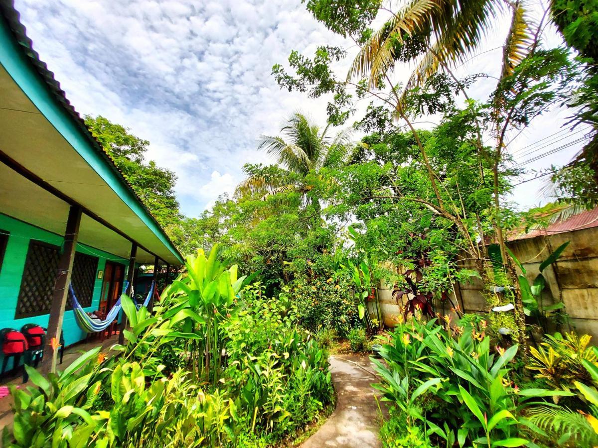 Cabinas Tortuguero Eksteriør bilde