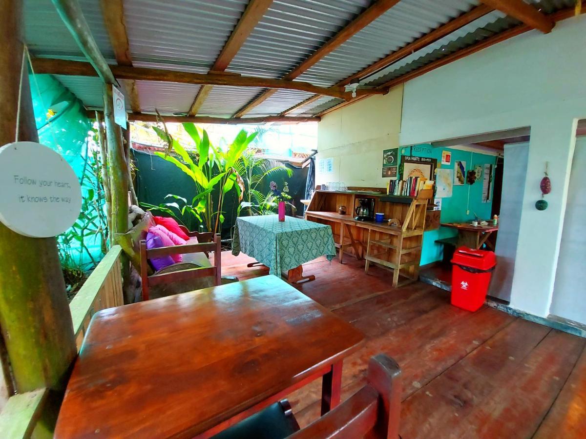 Cabinas Tortuguero Eksteriør bilde