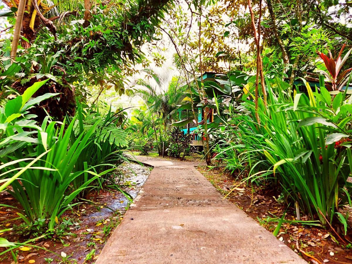 Cabinas Tortuguero Eksteriør bilde