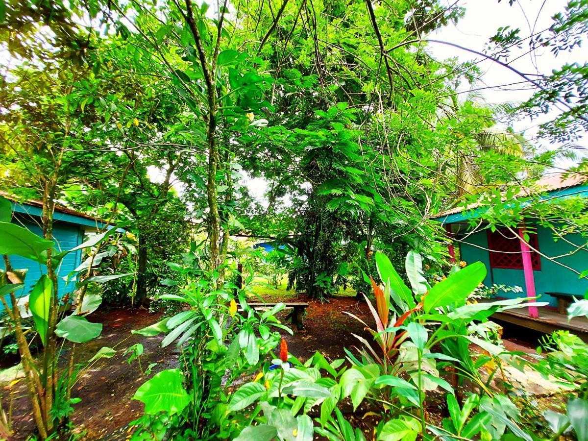 Cabinas Tortuguero Eksteriør bilde