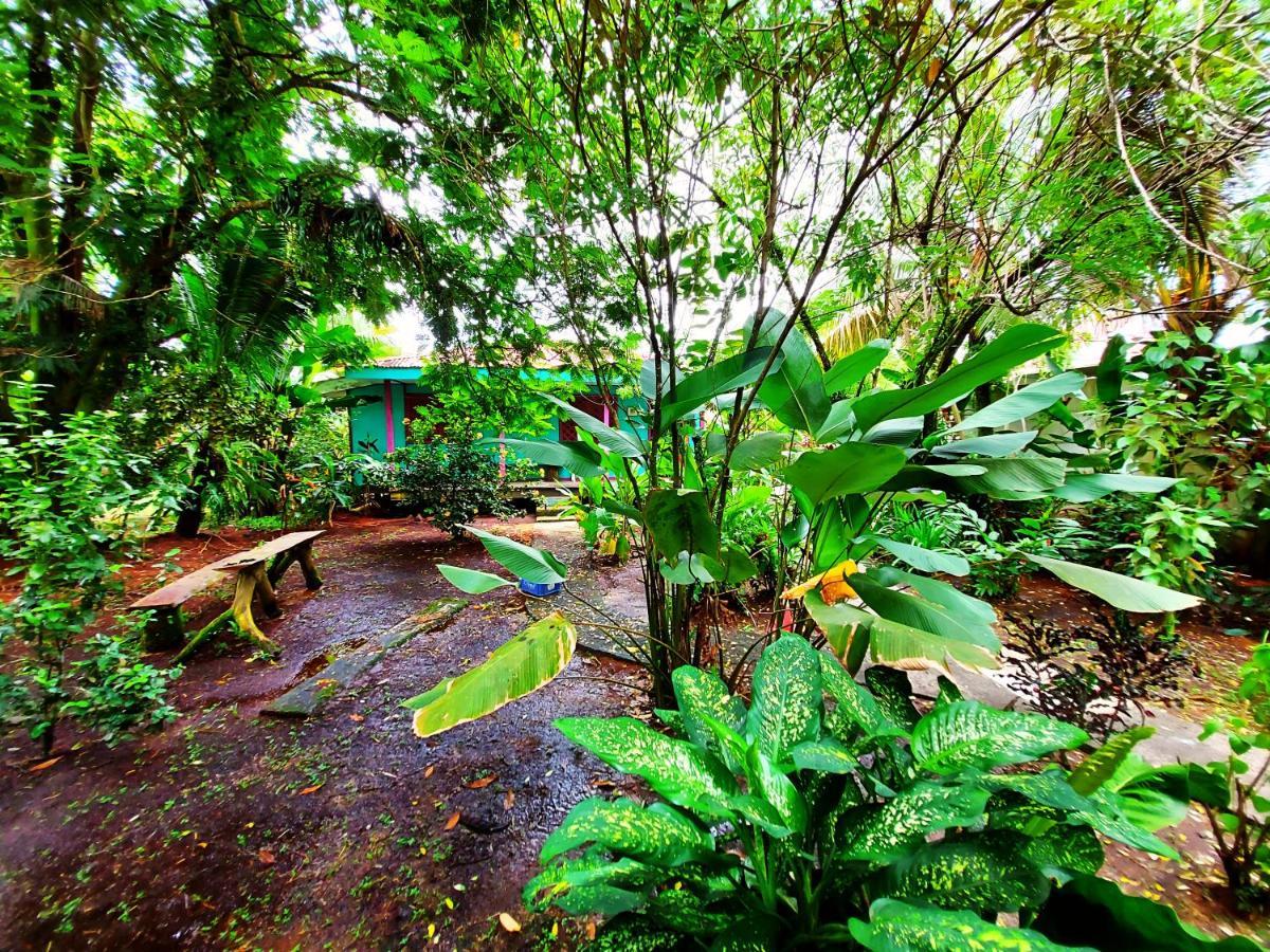 Cabinas Tortuguero Eksteriør bilde