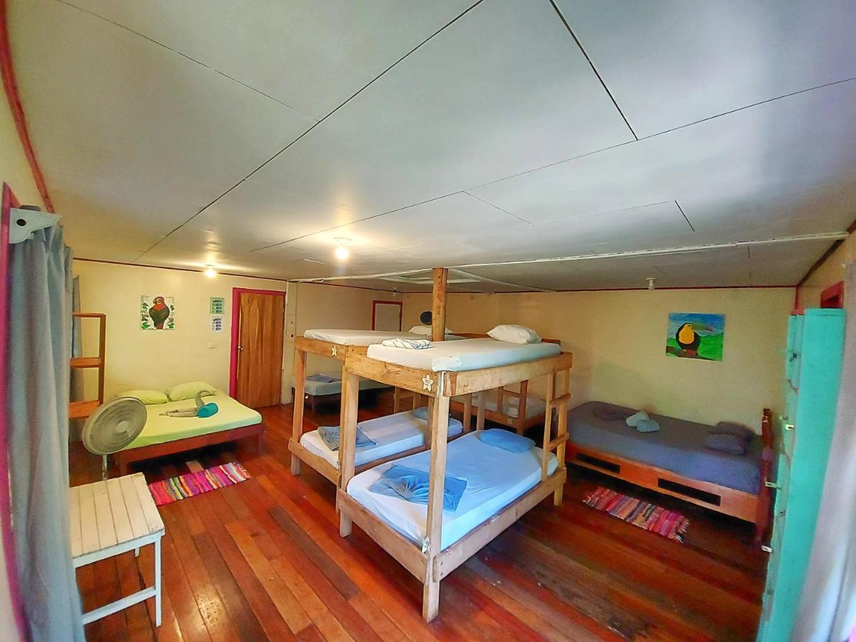 Cabinas Tortuguero Eksteriør bilde