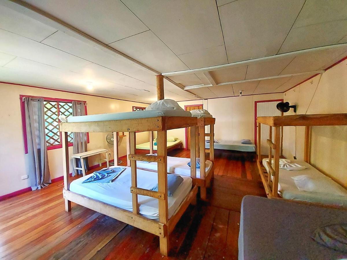 Cabinas Tortuguero Eksteriør bilde