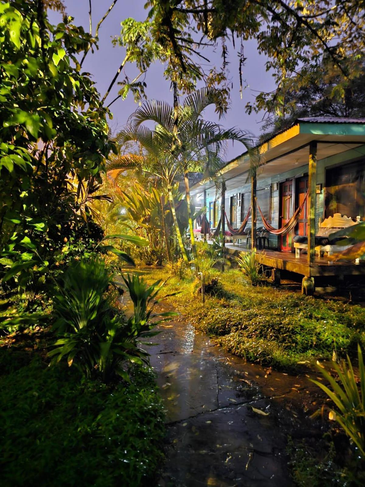 Cabinas Tortuguero Eksteriør bilde