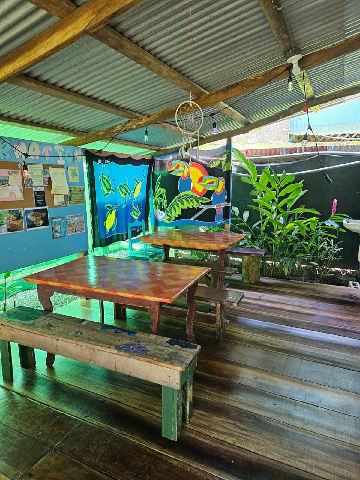 Cabinas Tortuguero Eksteriør bilde