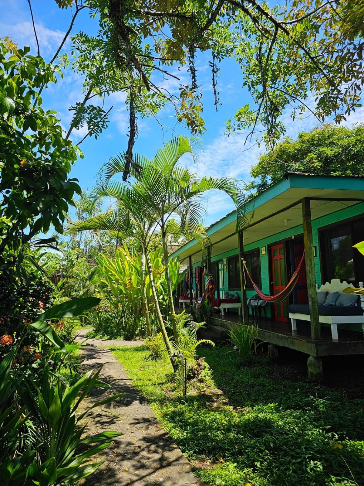 Cabinas Tortuguero Eksteriør bilde