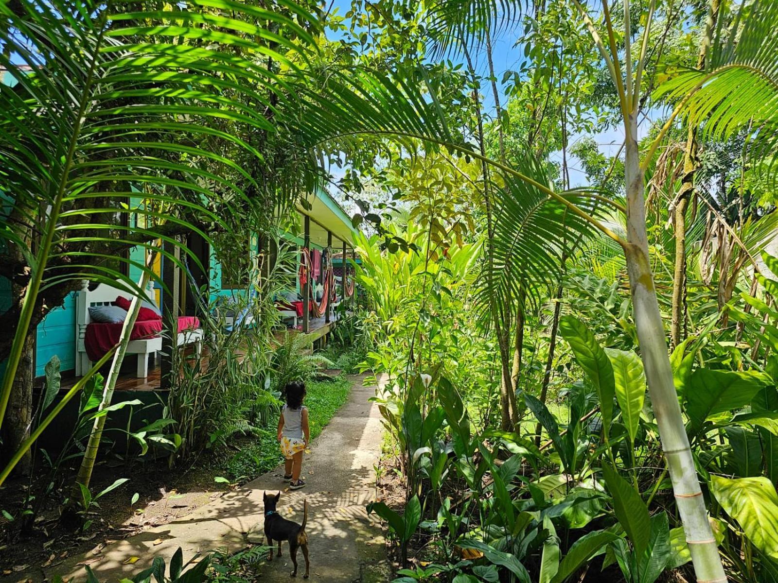 Cabinas Tortuguero Eksteriør bilde
