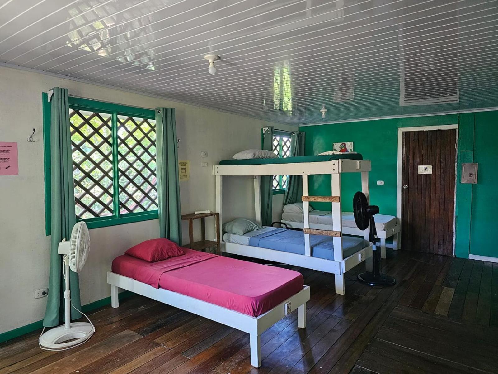 Cabinas Tortuguero Eksteriør bilde
