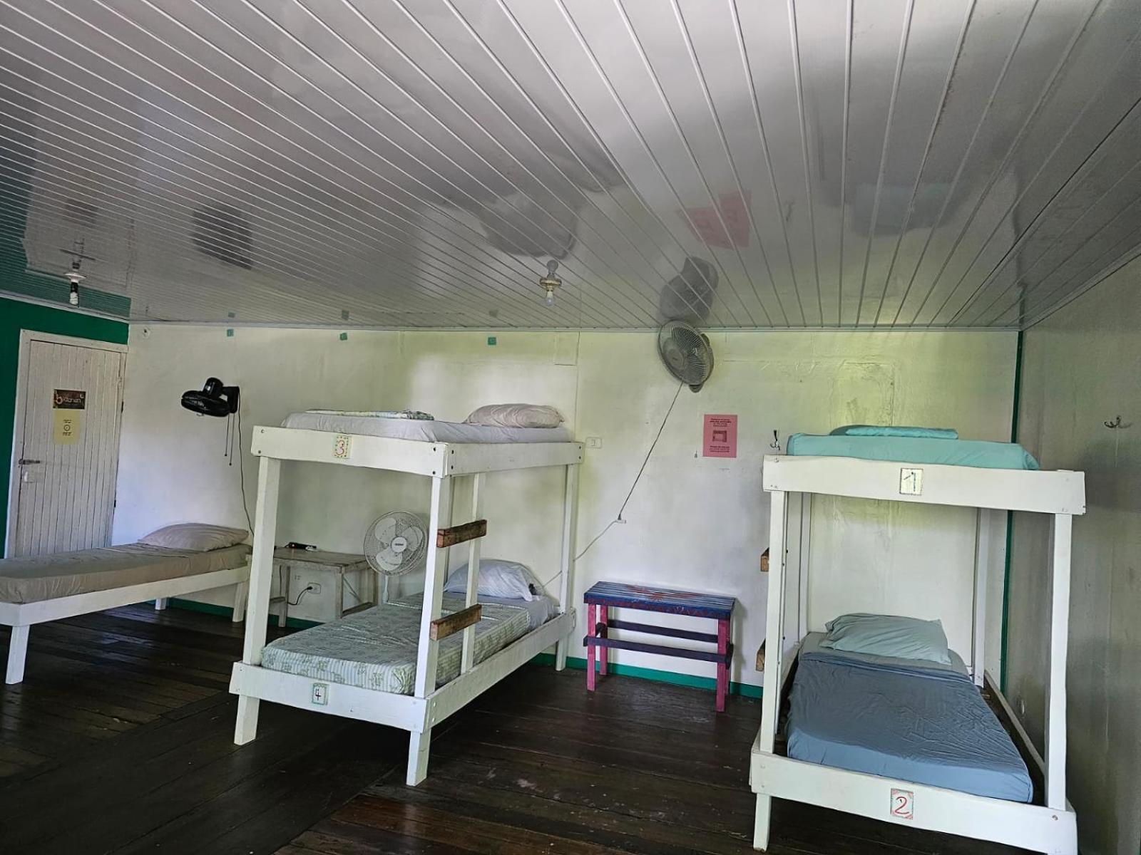 Cabinas Tortuguero Eksteriør bilde