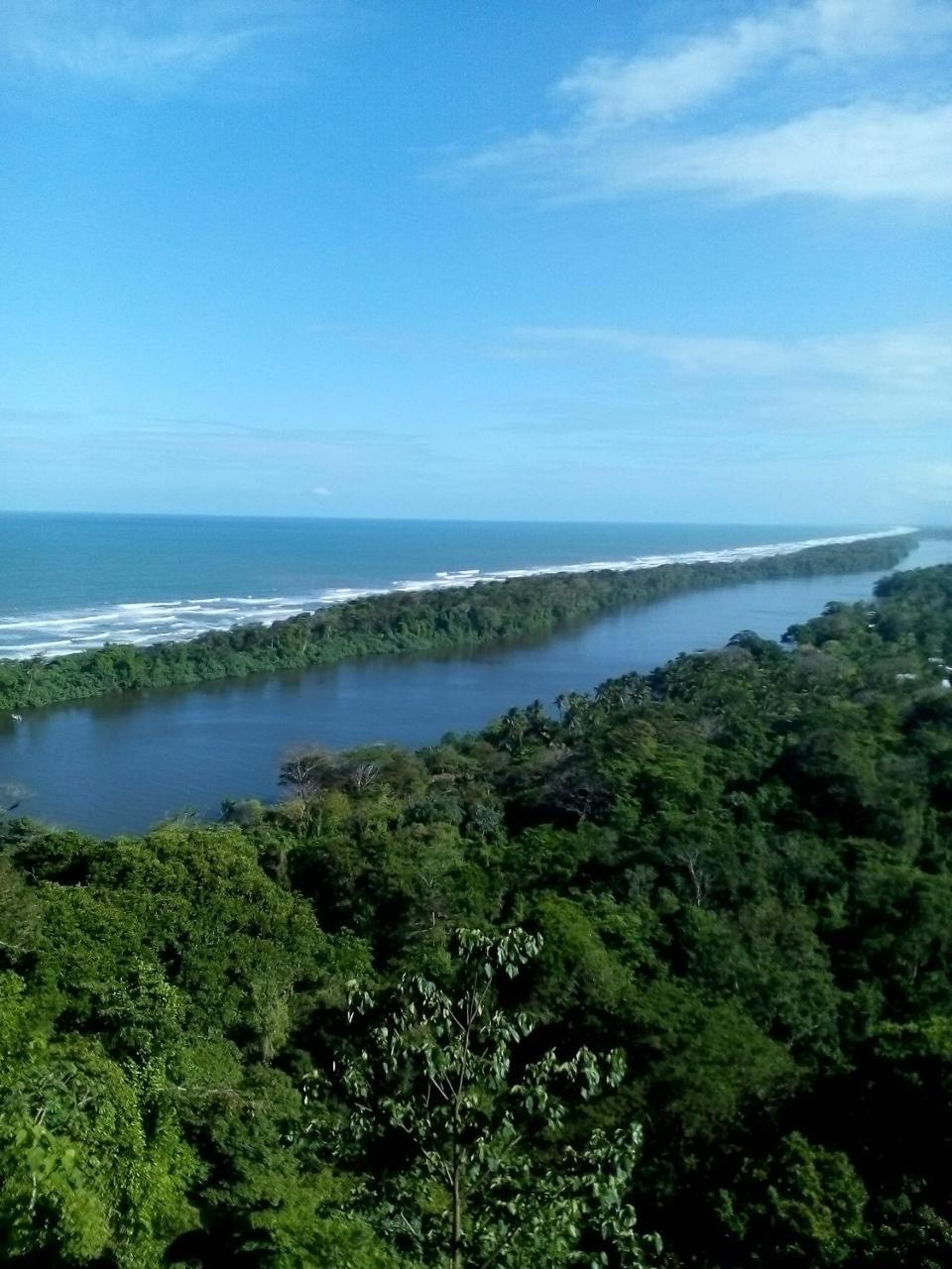 Cabinas Tortuguero Eksteriør bilde